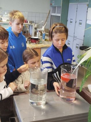 Fotografie img-20241211-wa0021_original.jpg