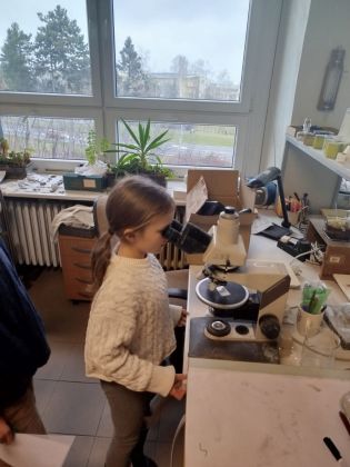 Fotografie img-20241211-wa0022_original.jpg