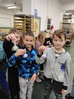 Fotografie img_20241216_101121_original.jpg