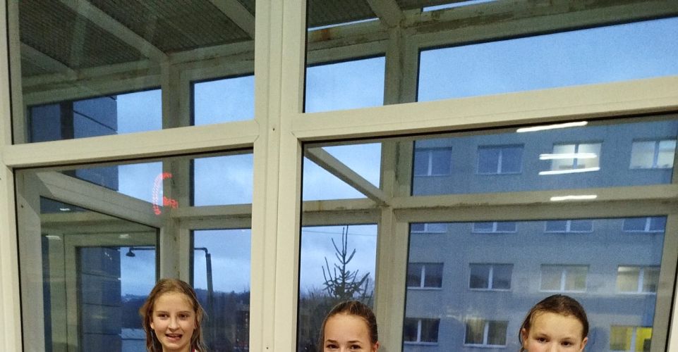 Vánoční plavecké závody