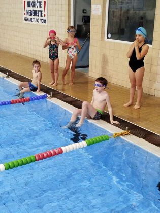 Fotografie img-20241216-wa0010_original.jpg