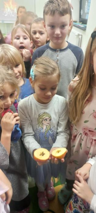 Fotografie img-20241217-wa0021_original.jpg