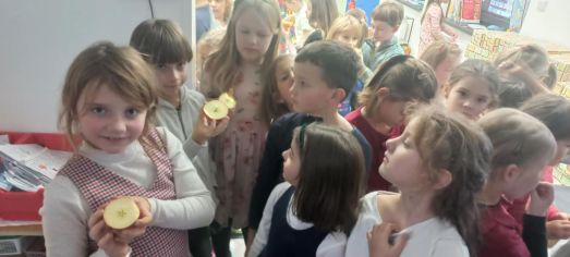 Fotografie img-20241217-wa0025_original.jpg