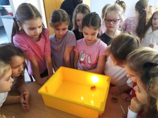 Fotografie img-20241217-wa0043_original.jpg