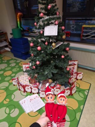 Fotografie img-20241221-wa0001_original.jpg