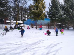 Fotografie img-20250114-wa0013_original.jpg