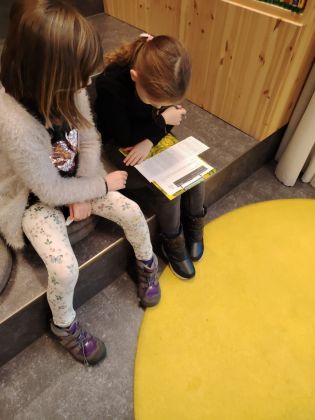 Fotografie img-20250115-wa0004_original.jpg