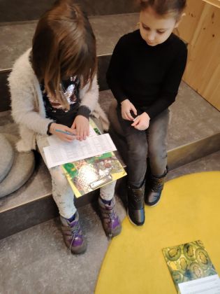 Fotografie img-20250115-wa0008_original.jpg