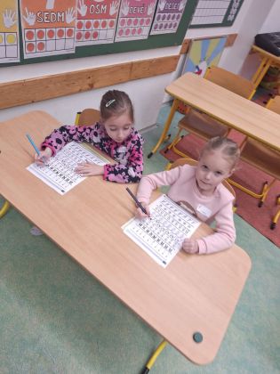 Fotografie img-20250124-wa0011_original.jpg