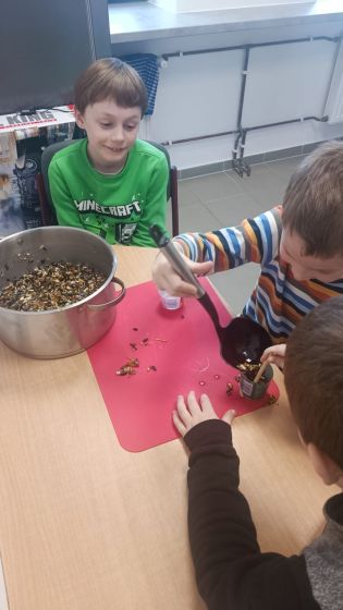 Fotografie img-20250127-wa0002_original.jpg