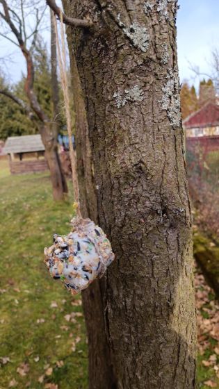 Fotografie img-20250127-wa0008_original.jpg