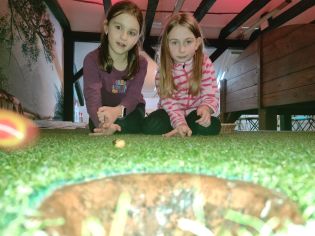 Fotografie img_20250130_101333_original.jpg