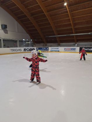 Fotografie img-20250221-wa0007_original.jpg