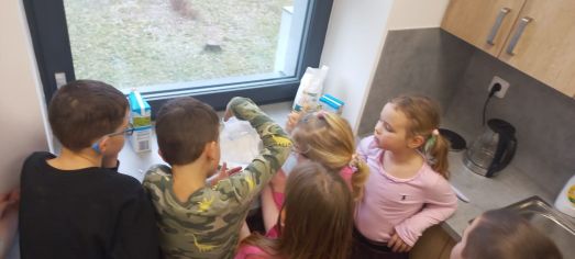 Fotografie img-20250219-wa0011_original.jpg