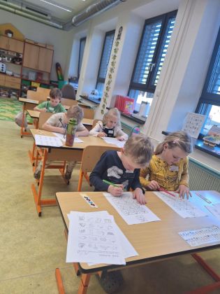 Fotografie img-20250317-wa0024_original.jpg