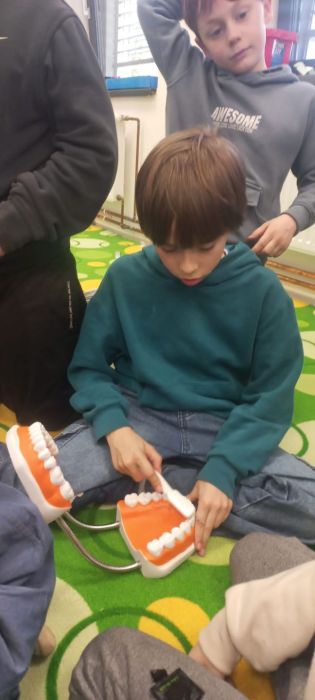 Fotografie img-20250311-wa0008_original.jpg