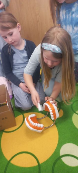 Fotografie img-20250311-wa0010_original.jpg