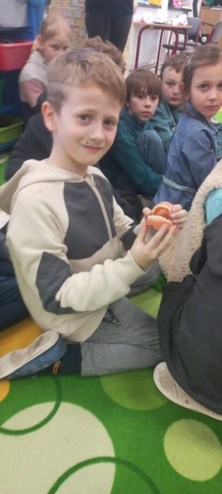 Fotografie img-20250311-wa0012_original.jpg