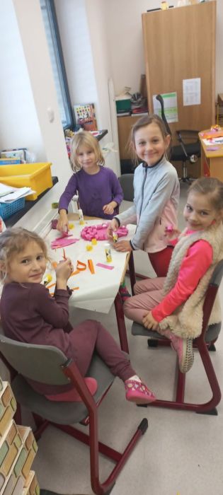 Fotografie img-20250312-wa0001_original.jpg