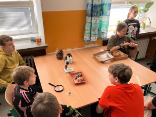 Fotografie img-20250319-wa0009_original.jpg