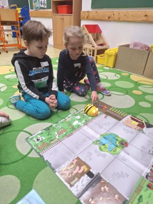 Fotografie img-20250317-wa0073_original.jpg