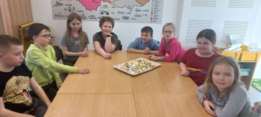 Fotografie img-20250326-wa0014_original.jpg