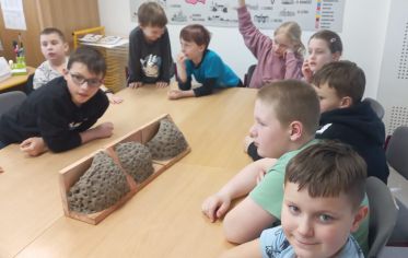 Fotografie img-20250401-wa0000_1_original.jpg