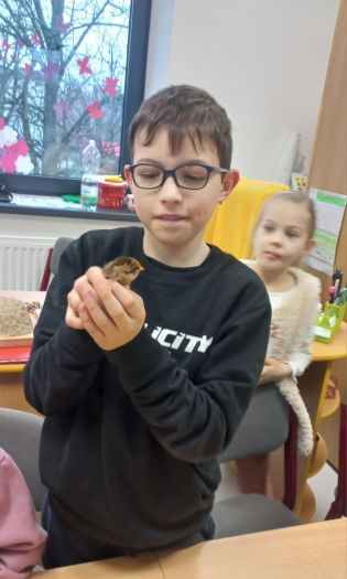 Fotografie img-20250401-wa0014_original.jpg