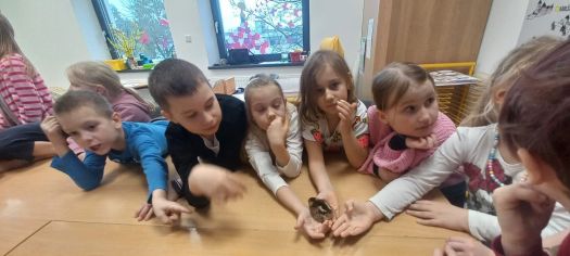 Fotografie img-20250401-wa0015_original.jpg