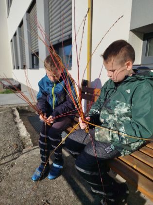 Fotografie img-20250404-wa0002_original.jpg