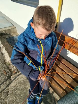 Fotografie img-20250404-wa0003_original.jpg