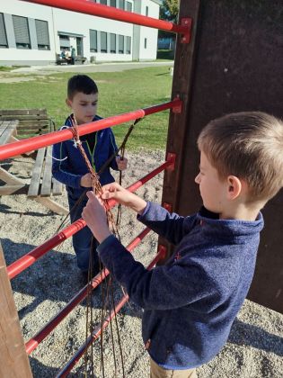 Fotografie img-20250404-wa0005_original.jpg