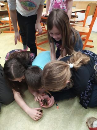 Fotografie img-20250404-wa0068_1_original.jpg