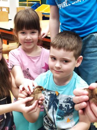 Fotografie img-20250404-wa0081_original.jpg