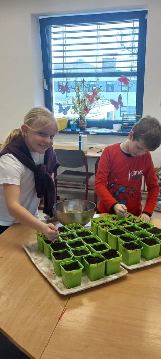 Fotografie img-20250406-wa0006_original.jpg