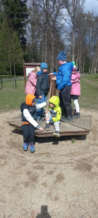 Fotografie img-20250409-wa0005_original.jpg