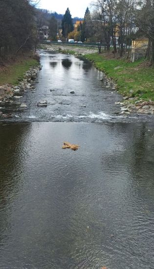 Fotografie img-20250409-wa0006_original.jpg