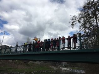 Fotografie img-20250409-wa0010_original.jpg