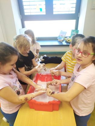 Fotografie img-20250416-wa0023_original.jpg