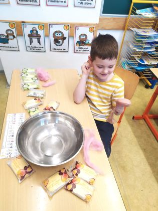 Fotografie img-20250416-wa0027_original.jpg