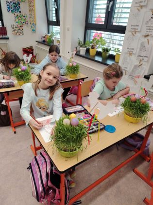 Fotografie img-20250507-wa0070_original.jpg