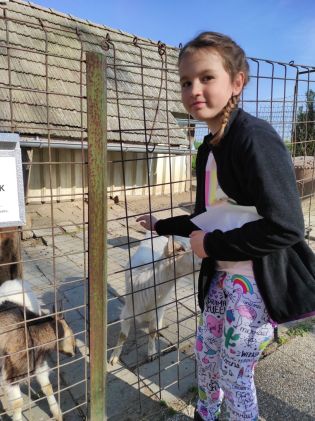 Fotografie img_20250422_092257_original.jpg