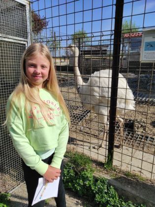 Fotografie img_20250422_093829_original.jpg