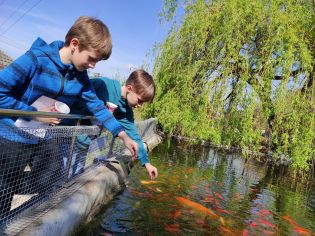 Fotografie img_20250422_093950_original.jpg