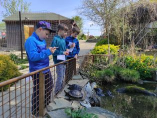 Fotografie img_20250422_094037_original.jpg