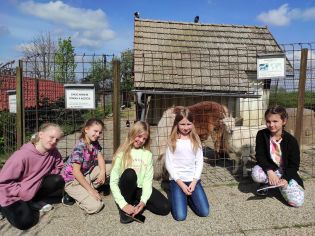 Fotografie img_20250422_102232_original.jpg