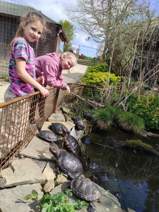 Fotografie img_20250422_105337_original.jpg