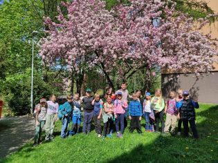 Fotografie img_20250422_112214_original.jpg