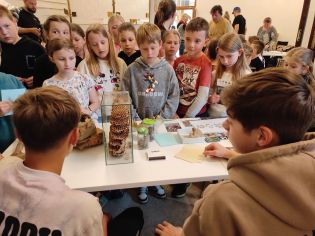 Fotografie img_20250425_084843_original.jpg