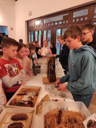 Fotografie img_20250425_085903_original.jpg